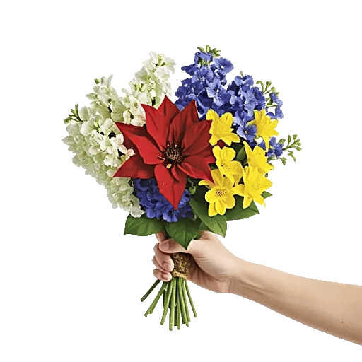 Blossom Harmony Display