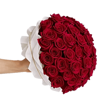 Crimson Rose Elegance