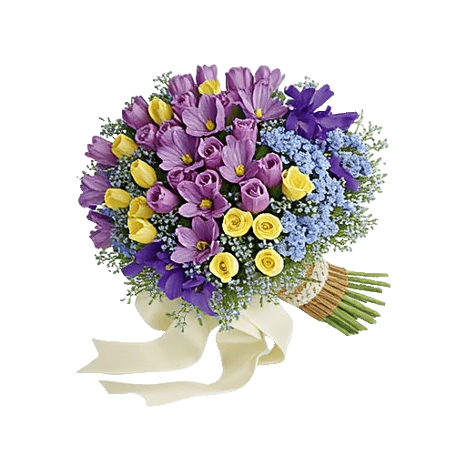 Serene Petal Harmony