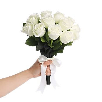Ivory Garden Grace