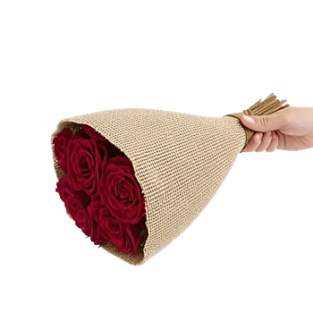 Crimson Rose Elegance