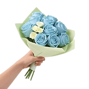 Elegant Blue Roses