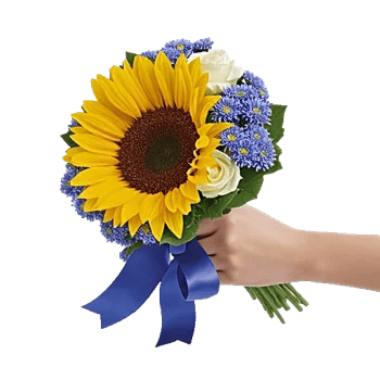 Twinkling Sunflower Dance