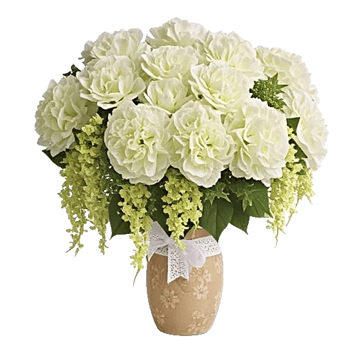 Ivory Blossom Radiance