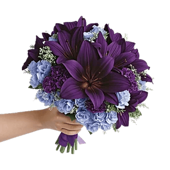 Sapphire Bloom Whisper