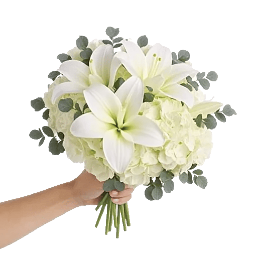 Minimalist White Orchids