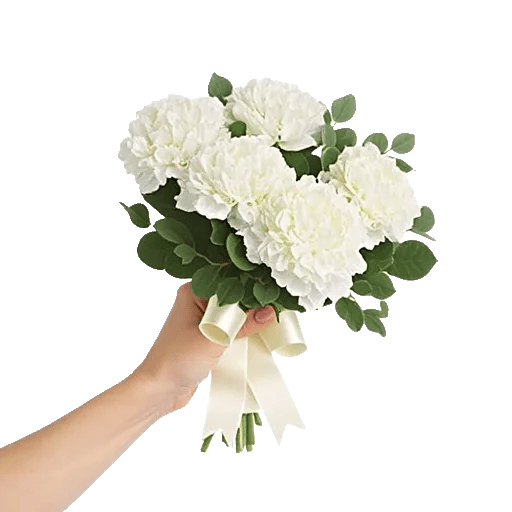 Minimalist White Orchids