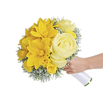 Ivory Blossom Radiance