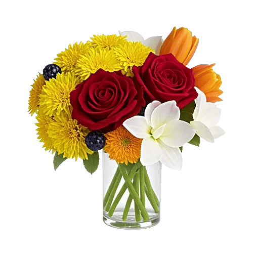 Petal Radiance Bliss