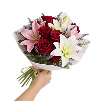 Crimson Rose Elegance