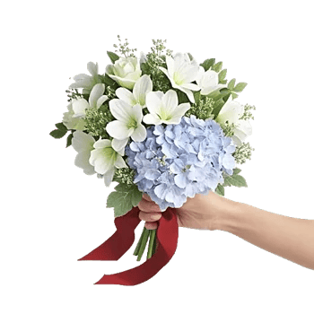 Blossom Petal Serenity