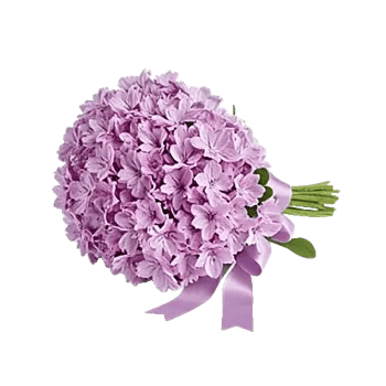 Honeyed Lilac Dream