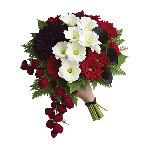 Ruby Petal Cascade