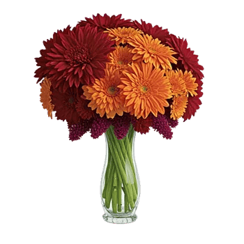 Crimson Blossom Harmony