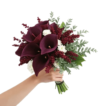 Elegant Calla Lilies