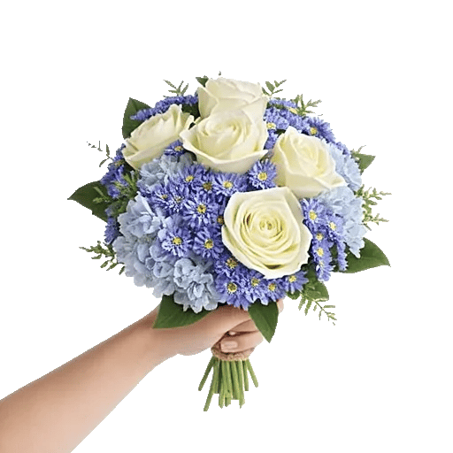 Serene Petal Harmony