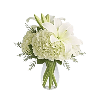 Graceful Lily Display