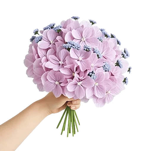 Serene Garden Harmony