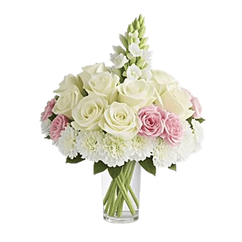 Ivory Blossom Radiance