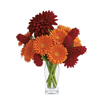 Crimson Blossom Harmony