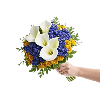 Elegant Calla Lilies