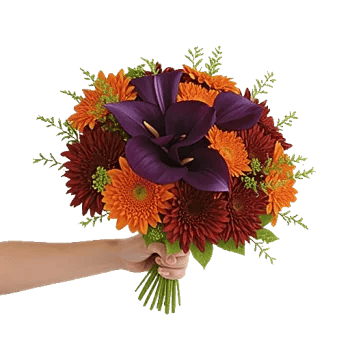 Elegant Calla Lilies