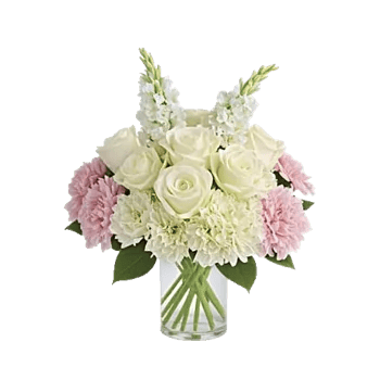 Ivory Blossom Radiance