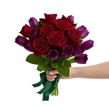 Crimson Rose Elegance