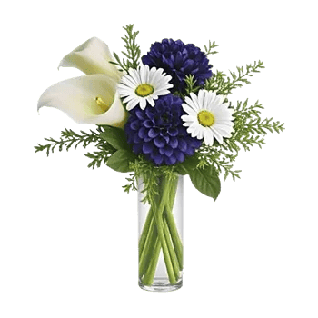 Elegant Calla Lilies