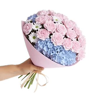 Serene Petal Harmony