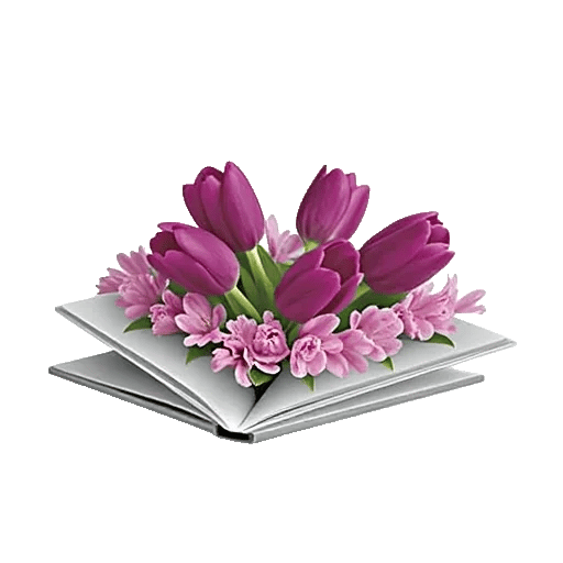 Velvet Tulip Display