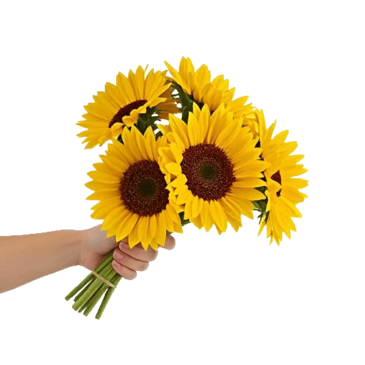 Golden Sunflower Bouquet