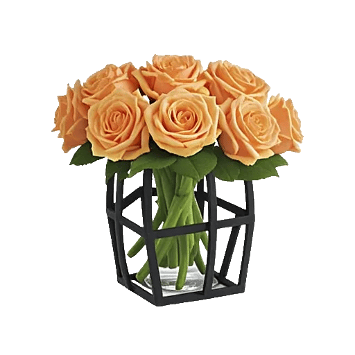 Radiant Rose Symphony