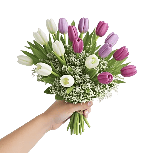 Velvet Tulip Display