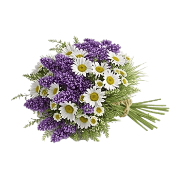 Fresh Meadow Blooms