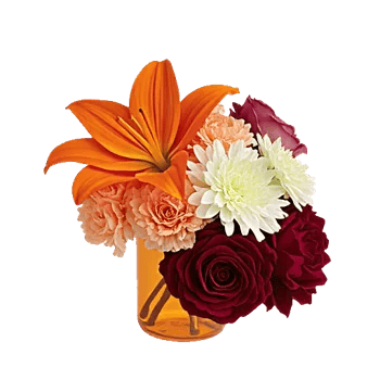Petal Radiance Bliss