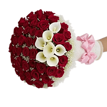 Crimson Rose Elegance