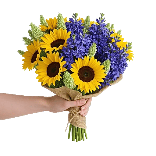 Twinkling Sunflower Dance