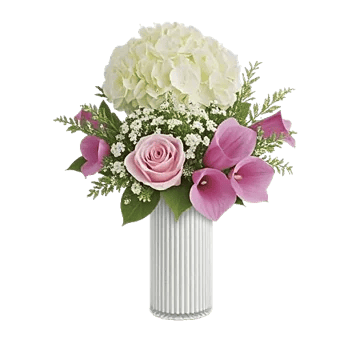 Ivory Blossom Radiance