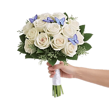 Blushing Rose Symphony