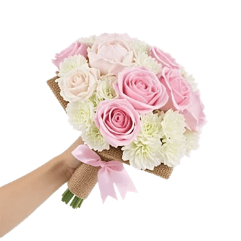 Pastel Pink Roses