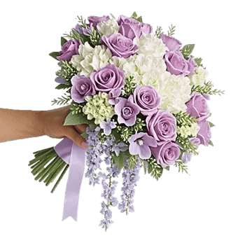 Delicate Petal Cascade