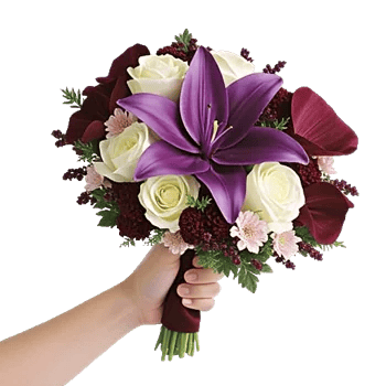 Elegant Calla Lilies