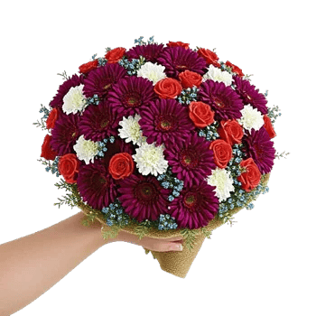 Plum Blossom Radiance