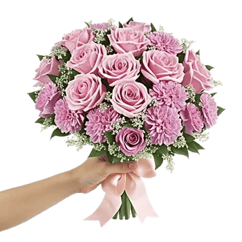 Pastel Pink Roses