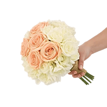 Blushing Rose Symphony