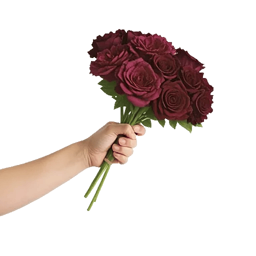 Plum Blossom Radiance