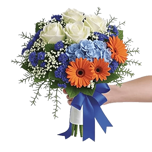 Serene Petal Harmony