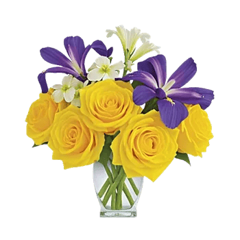 Ivory Blossom Radiance