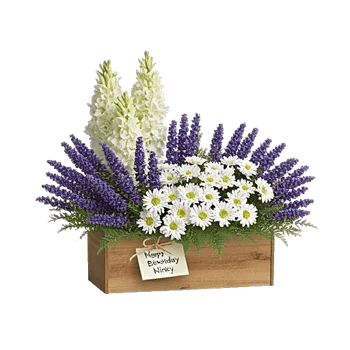 Blossom Harmony Display